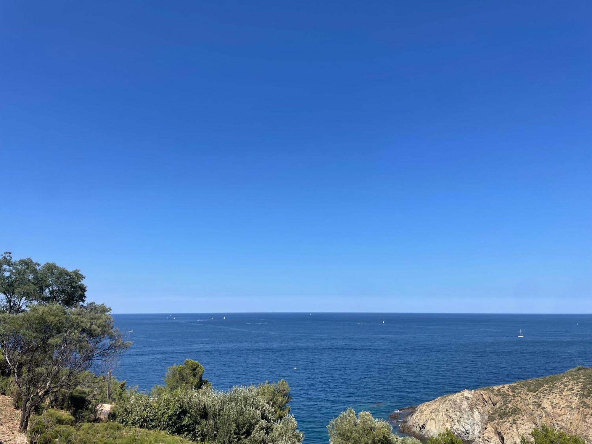 Studio-Cabine A Banyuls-Sur-Mer Climatise, Terrasse, Parking, Wi-Fi - Fr-1-309-210 Exteriör bild